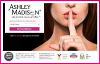AshleyMadison-brand-page
